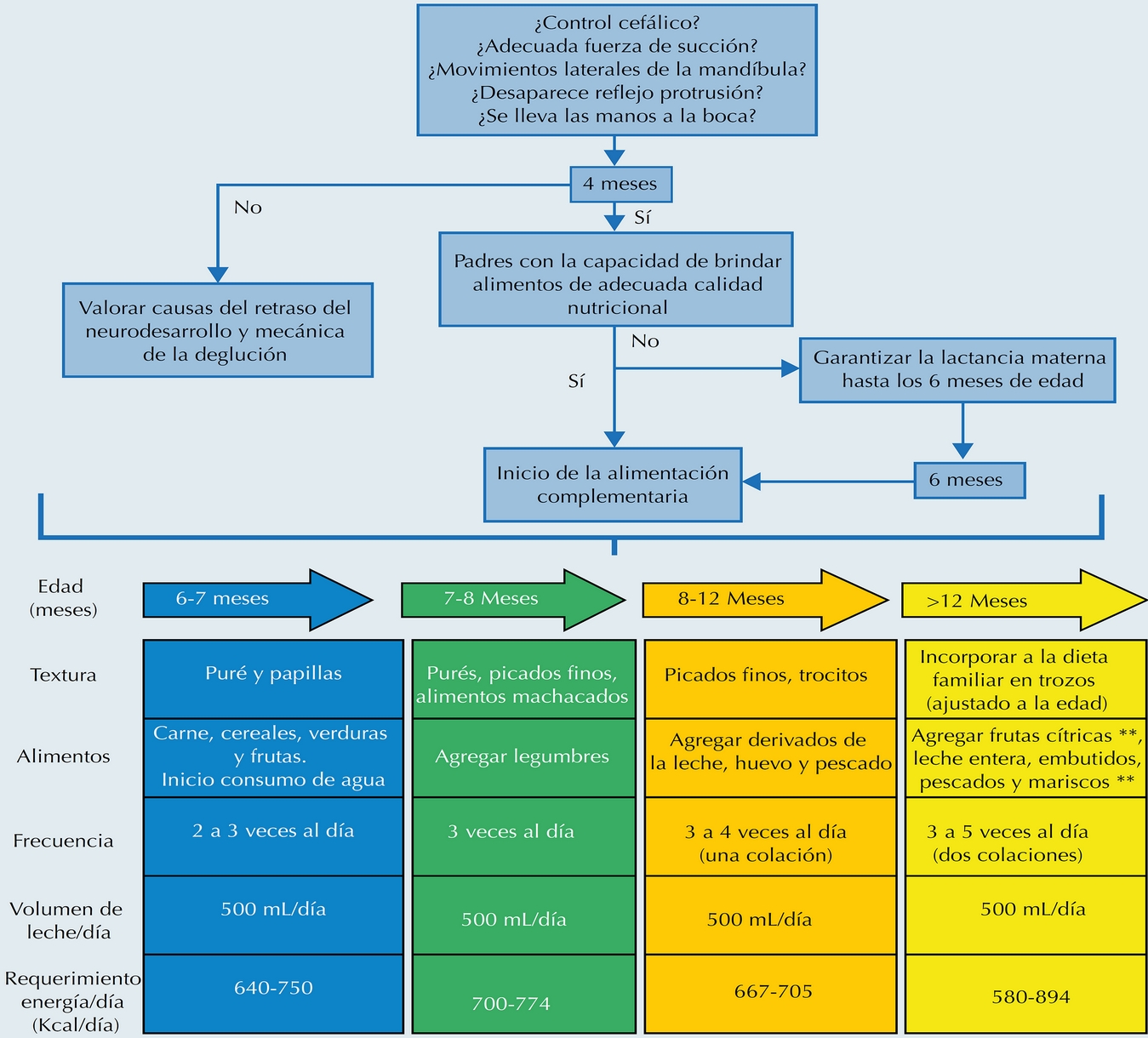 Actualidades en alimentación complementaria Cuadros